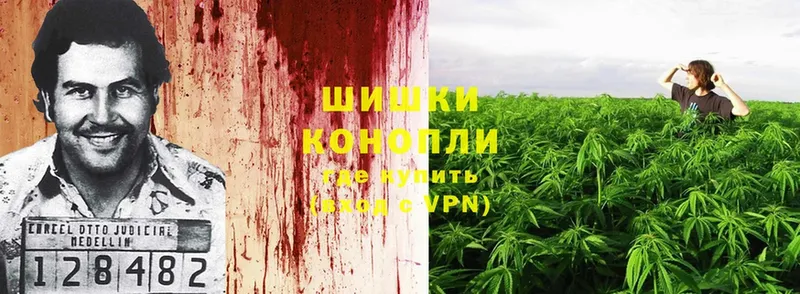 Бошки Шишки THC 21%  Мыски 